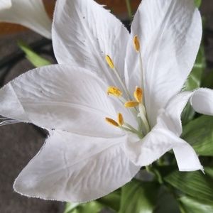 Meet your Posher, Mar